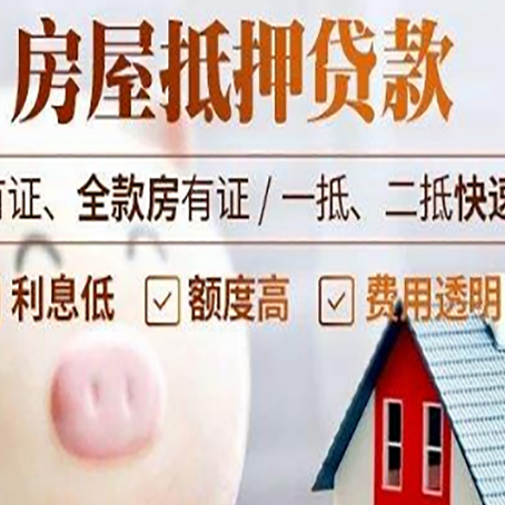 寿宁贷款助贷公司新渝启服成立时间久